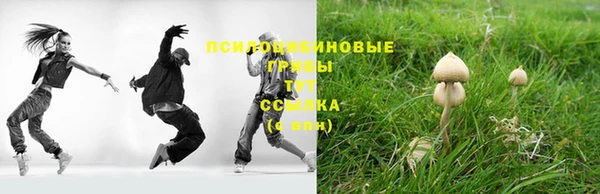 амф Белокуриха