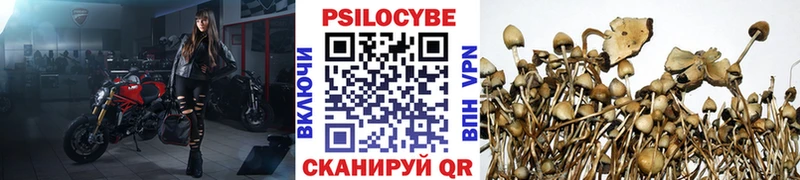 Псилоцибиновые грибы мухоморы  где можно купить   даркнет состав  Верхняя Пышма 